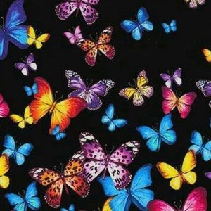 Meet your Posher, Nancy